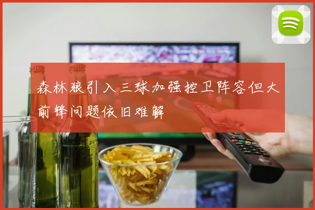 森林狼引入三球加强控卫阵容但大前锋问题依旧难解