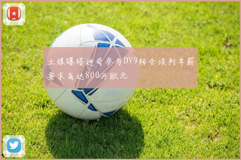 土媒曝塔迪奇参与DV9转会谈判年薪要求高达800万欧元