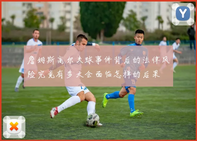 詹姆斯高尔夫球事件背后的法律风险究竟有多大会面临怎样的后果