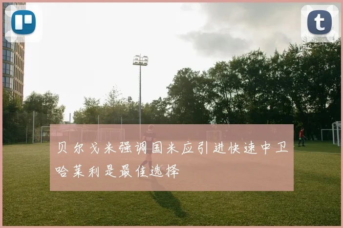 贝尔戈米强调国米应引进快速中卫哈莱利是最佳选择